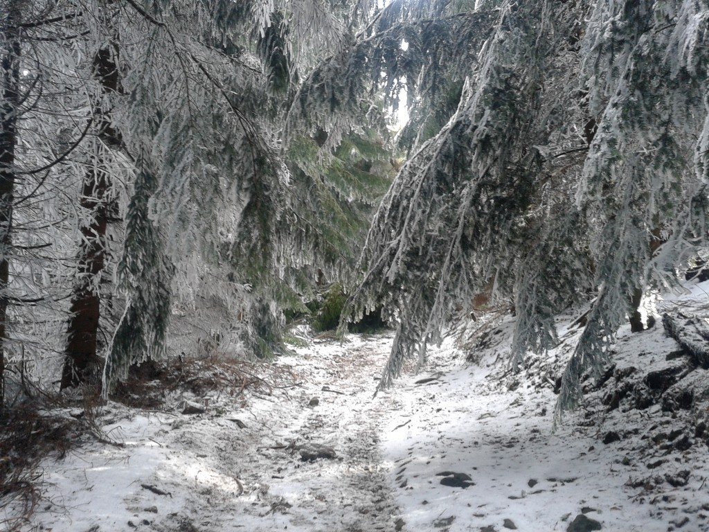 20140309_100222