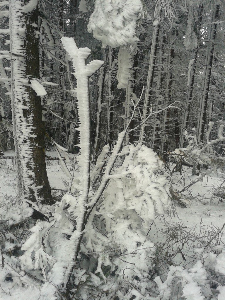 20140309_102437
