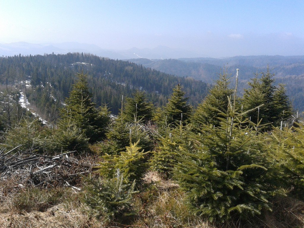 20140309_113705