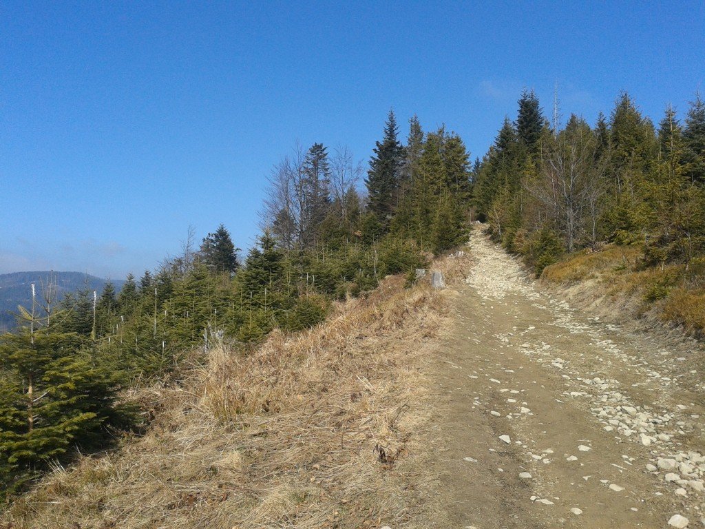 20140309_113709
