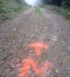 Noraftrail – I edycja okiem organizatora….