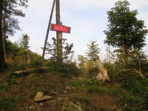IMG_0281