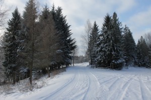 IMG_4929
