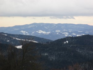 IMG_5177