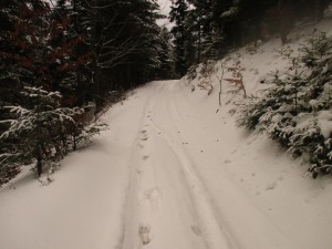 IMG_5180