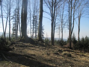 IMG_7355