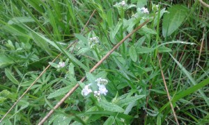20150524_144501