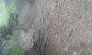 20150524_145446