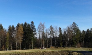 20151206_115343